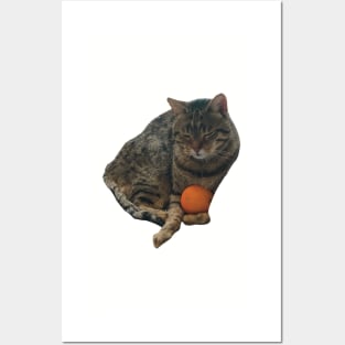 tabby cat holding an orange funny meme Posters and Art